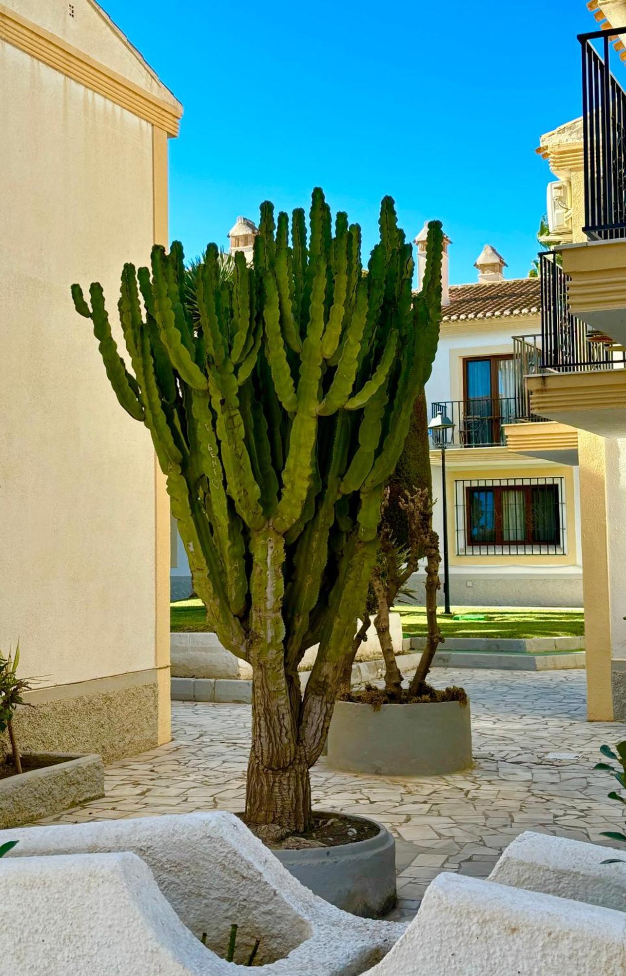 Casa Veranera Vera Costa Playas de Vera Exterior photo